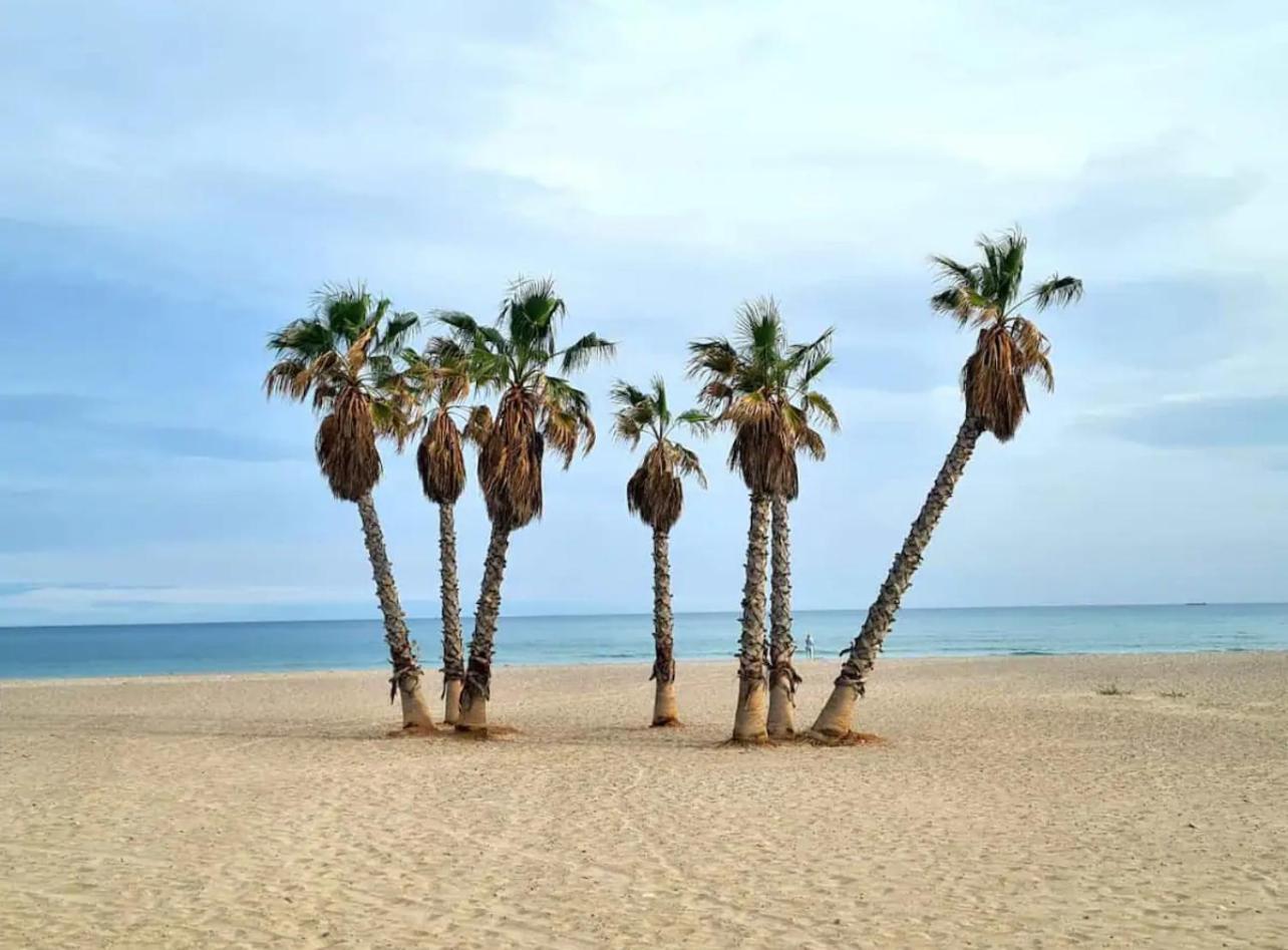 для жизни и отдыха * Canet d'En Berenguer